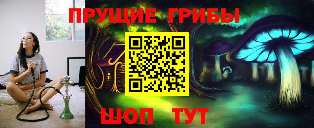 Псилоцибиновые грибы Psilocybe  Вход с VPN  Кольчугино 